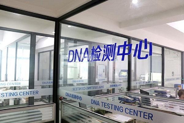 柳州DNA检测多少钱（探秘DNA检测的价格与结果解读） 